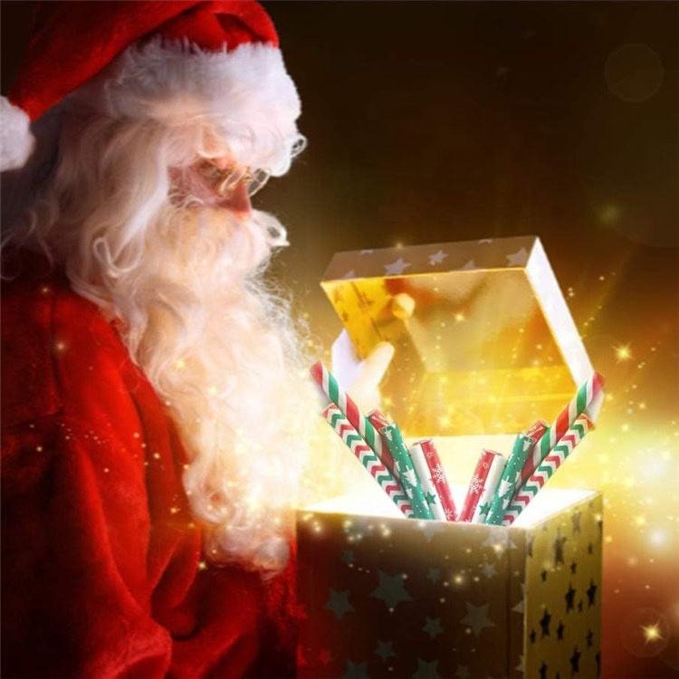 Chrsitmas Paper Straw